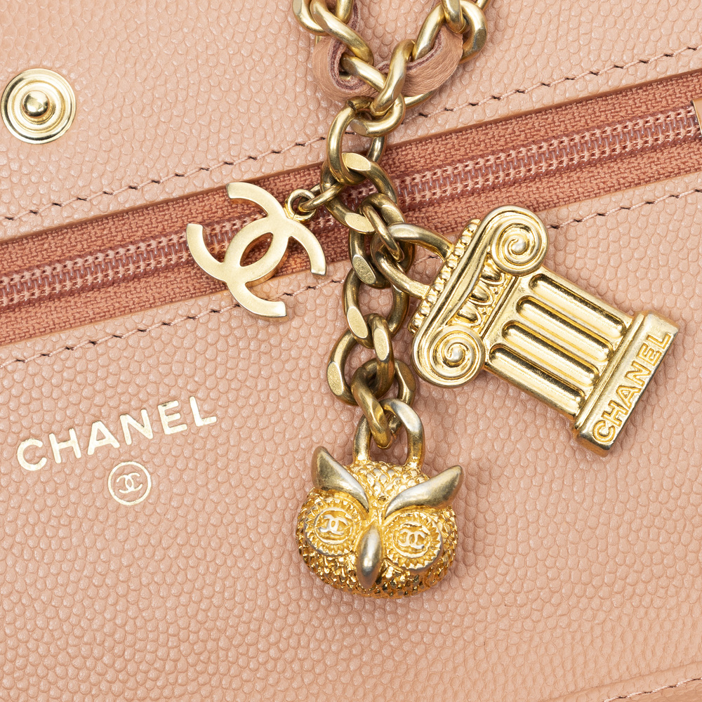 Chanel Ancient Greek Charms Wallet on Chain - Picture 11 of 12